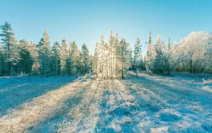 Tips voor winterkamperen Nederland