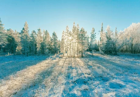 Winterkamperen Nederland